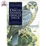 The Druid Animal Oracle Deck