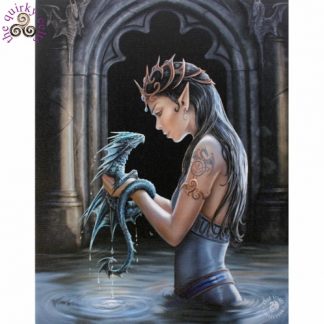 Water Dragon Canvas Picture