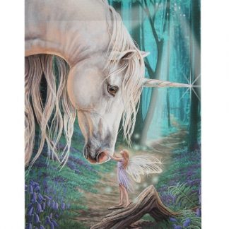 Fairy Whispers Canvas Picture