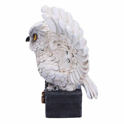 Archimedes Owl Figurine