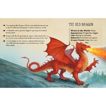 Magnificent Dragons Jigsaw Puzzle