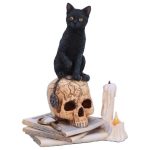 Spirits of Salem Figurine