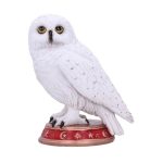 Wizard's Familiar Owl Figurine