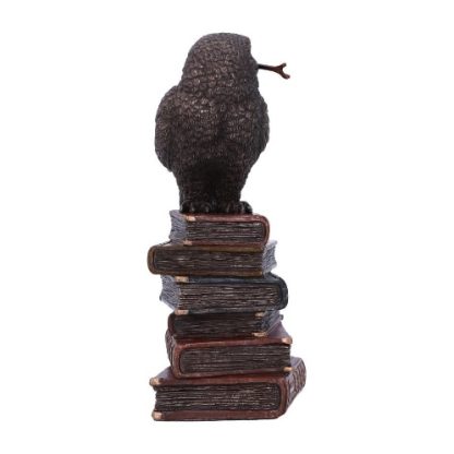 Spellcraft Owl on Books Figurine