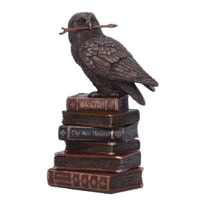 Spellcraft Owl on Books Figurine