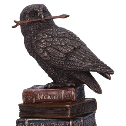 Spellcraft Owl on Books Figurine close-up