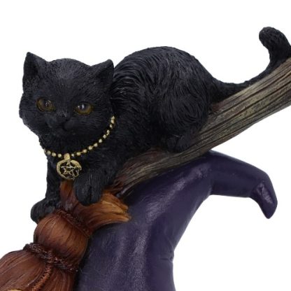 Bewitched Cat Figurine close-up