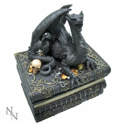 Secrets of the Dragon Box