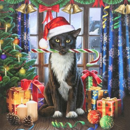 Krampuss Cat Light Up Canvas Picture