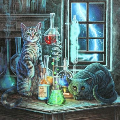 Jekyll and Hyde Cats Light Up Canvas Picture