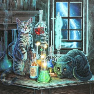 Jekyll and Hyde Cats Light Up Canvas Picture